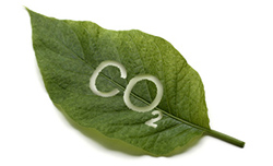 Feuille CO2